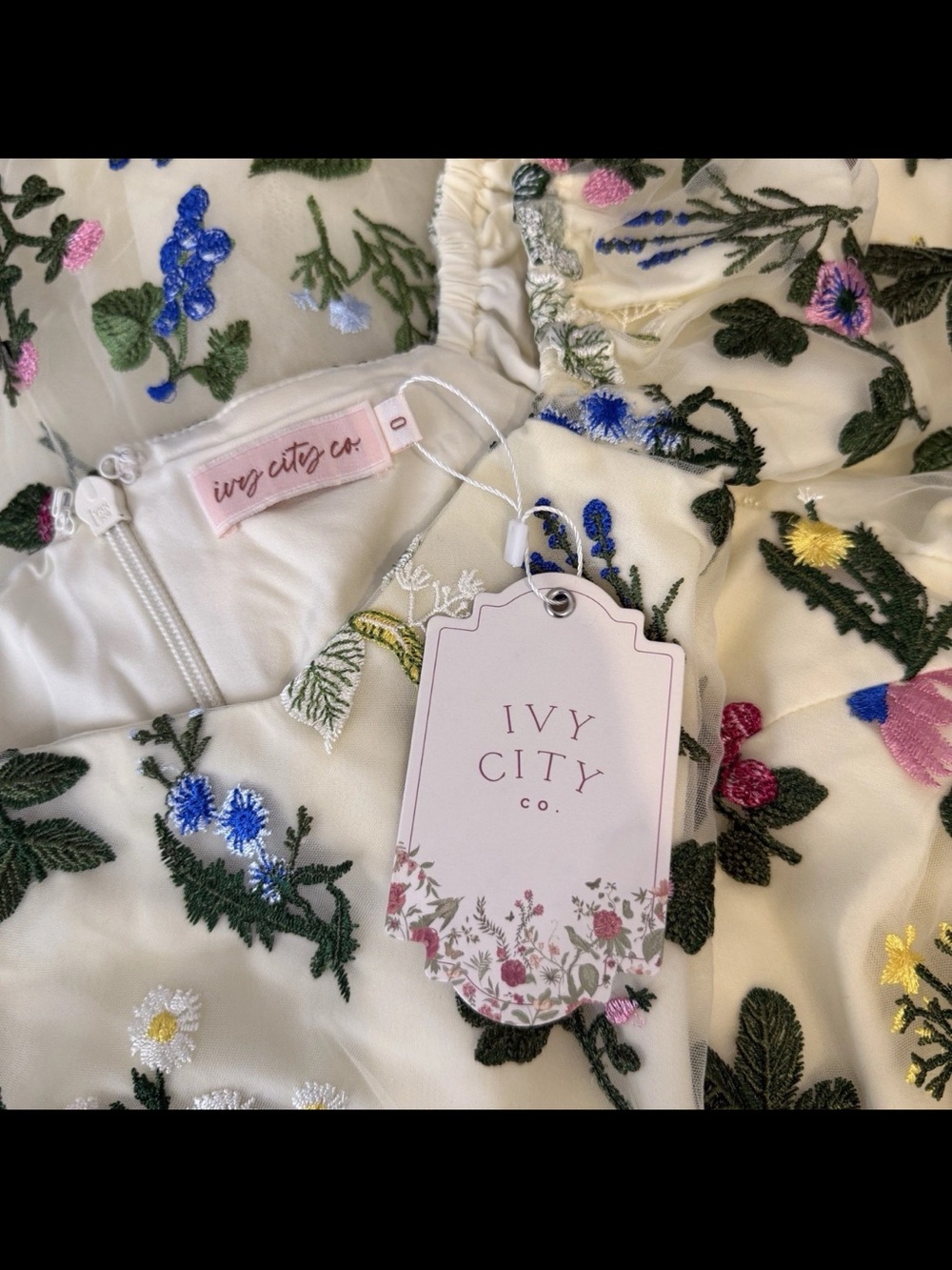 Ivy City Co Amora Dress Multicolor Floral Embroidered Tulle Prom Formal Gown NEW - Picture 13 of 16